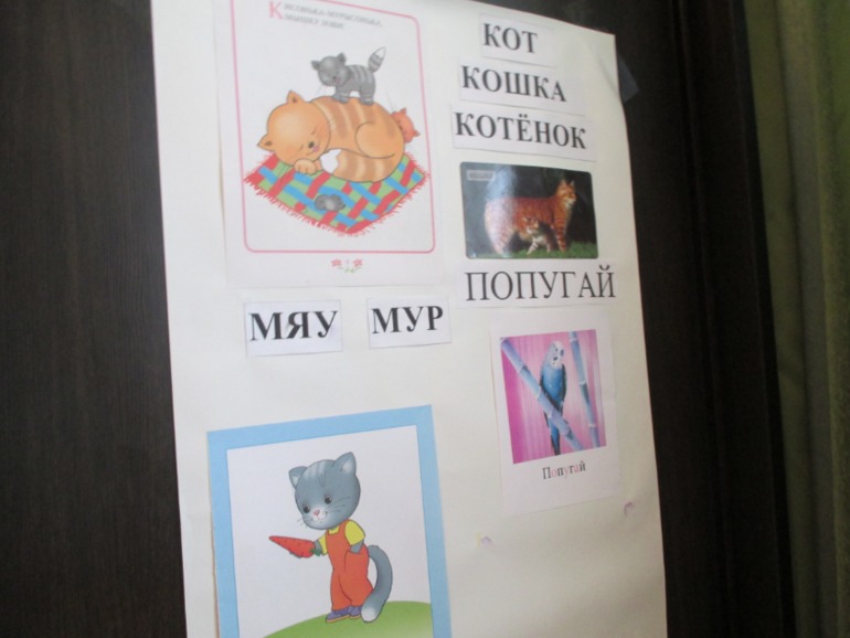 ФМ Животные в квартире. День второй - Попугай.