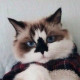 Алина