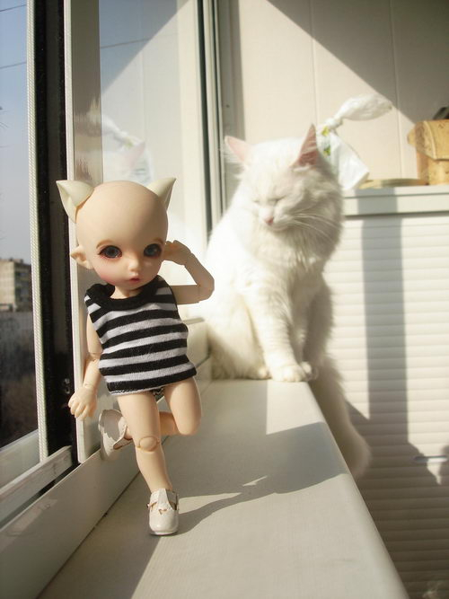 Куклы  BJD