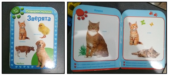 Наши книжки