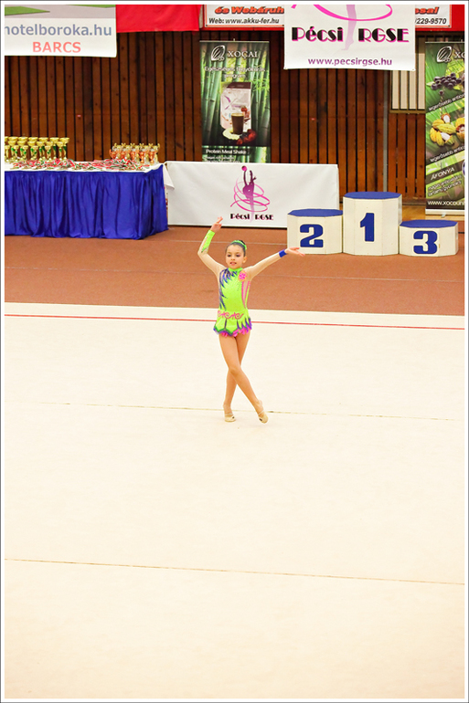 V. Pécs Cup 2013
