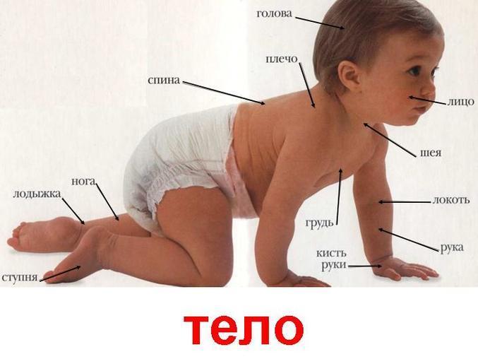ТН
