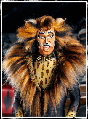 Cats!