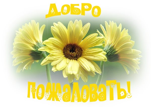 Добро пожаловать в мой мир!!!