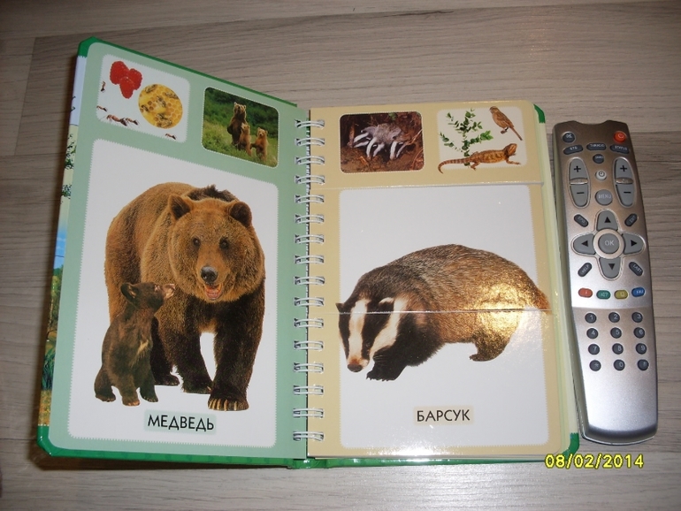 fee33a2998ed2ba8b9e29ee0e43e976b.jpg