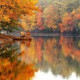 Elena Fursa-Davies