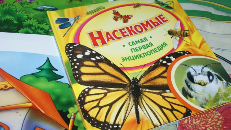 ПреКРАСНЫЙ праздник маленькой божьей коровки))