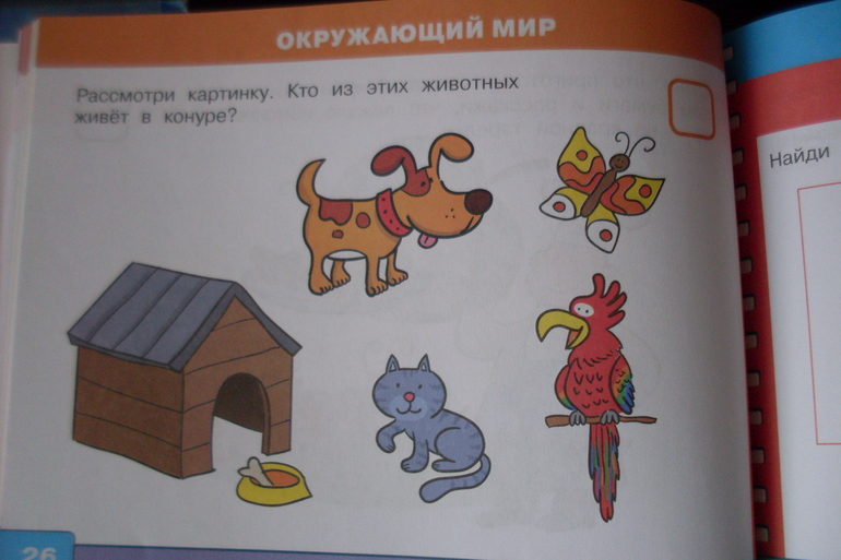 ТН