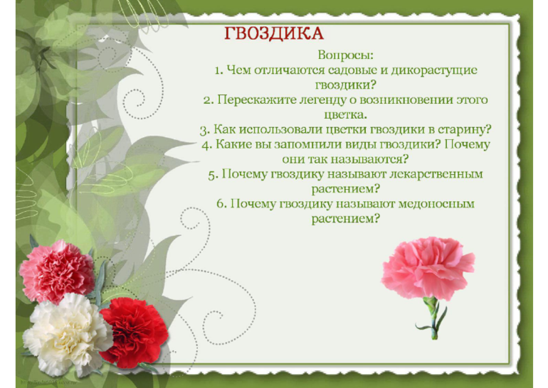 О цветах...