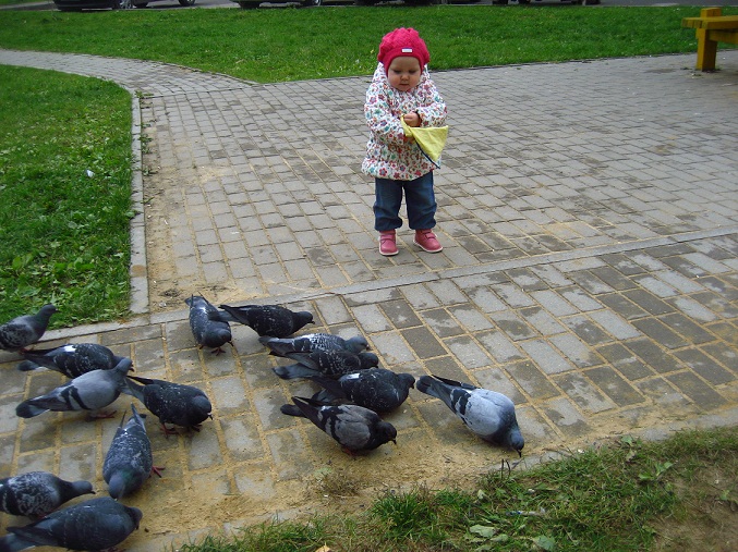ТД