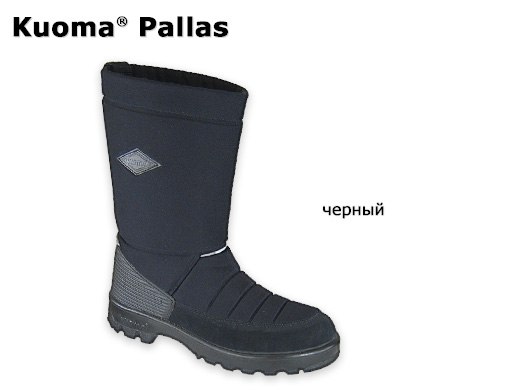 Куома Финляндия