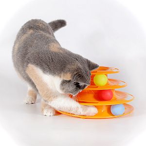 Игрушка для кошек Игровая пирамидка
