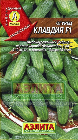 Огурец Клавдия F1
