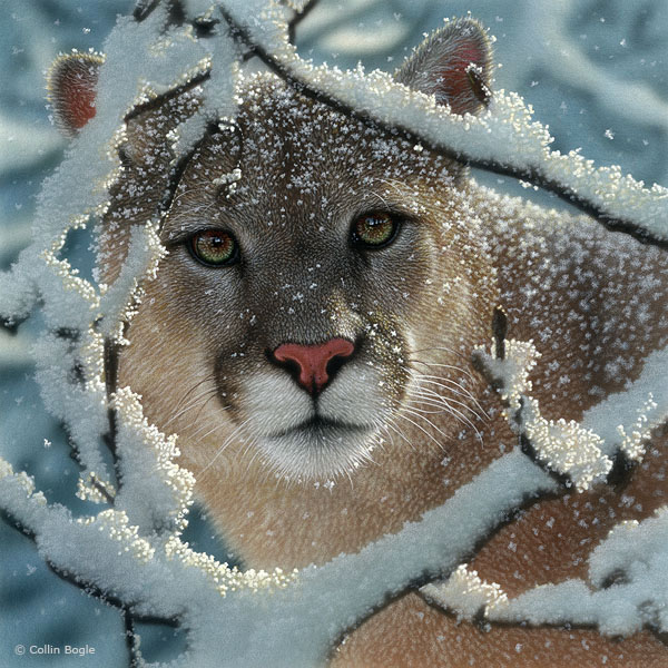 Алмазная вышивка- Животные
