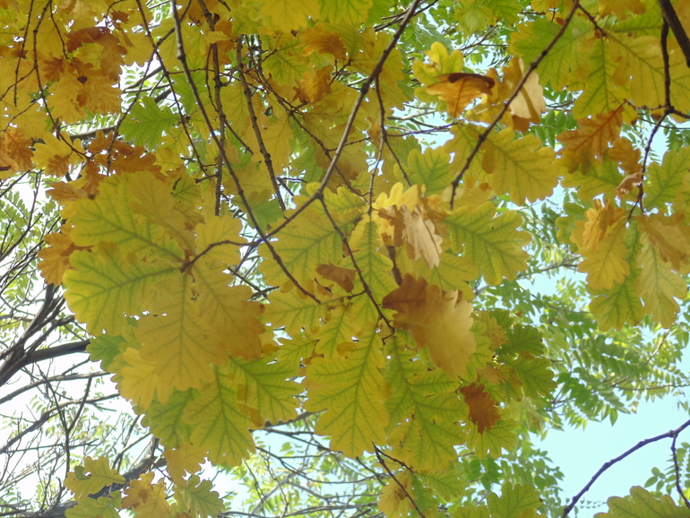 f757c22545ed4190dfd3654b47fbf0d7.jpg