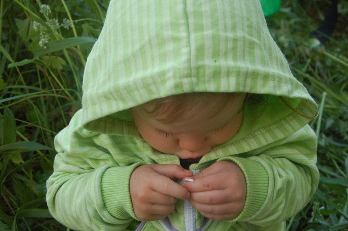 Одноночный многодетный поход