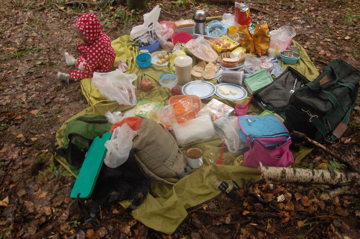 Школьный поход