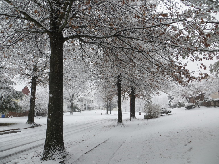 Снежный день