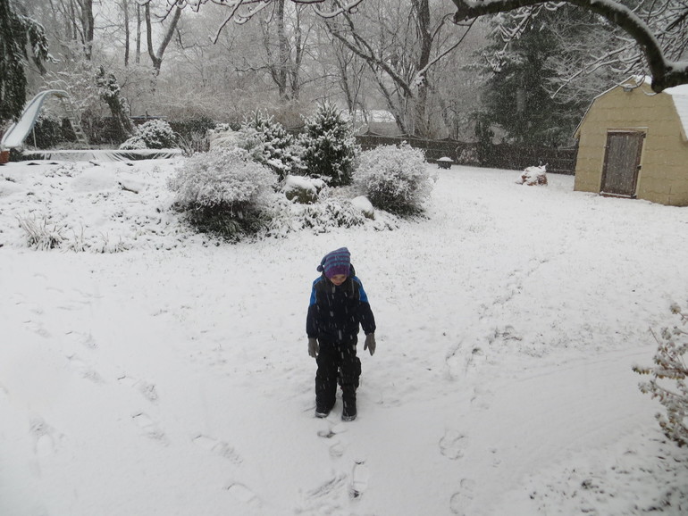 Снежный день