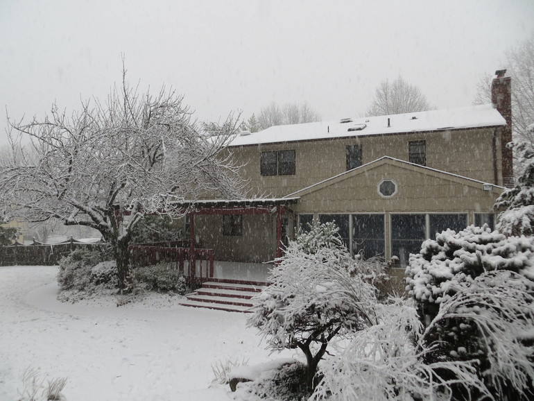 Снежный день