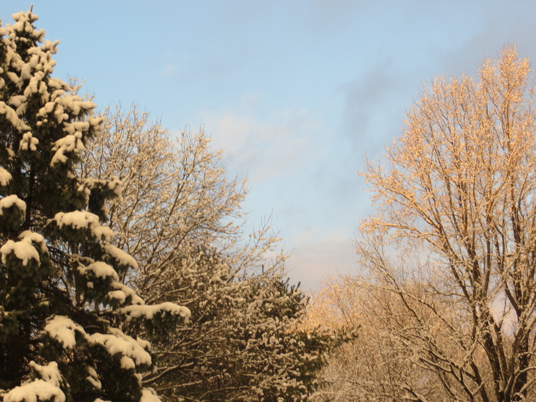 Снежный день