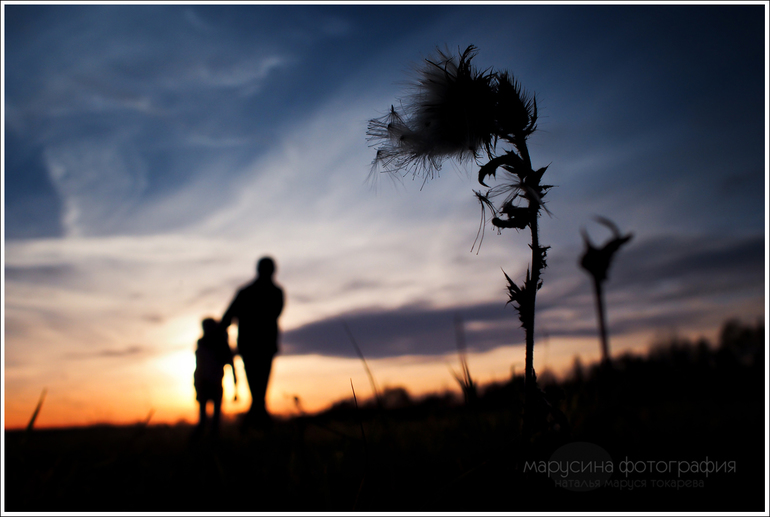 я разлюбила