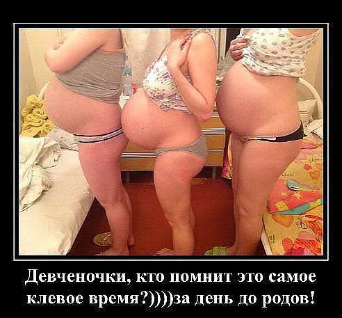 Такие разные пузы))