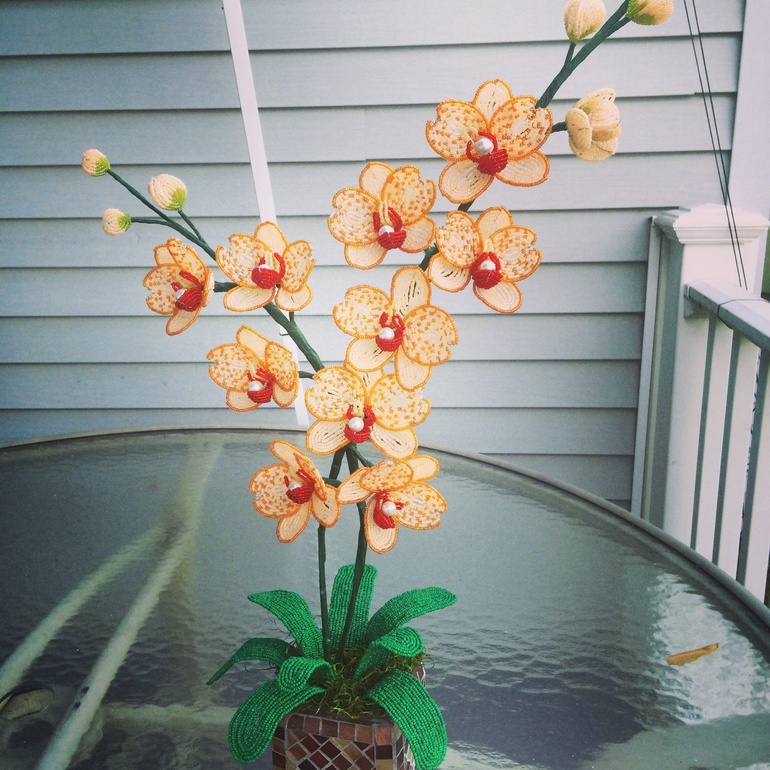 Давно не показывалась)