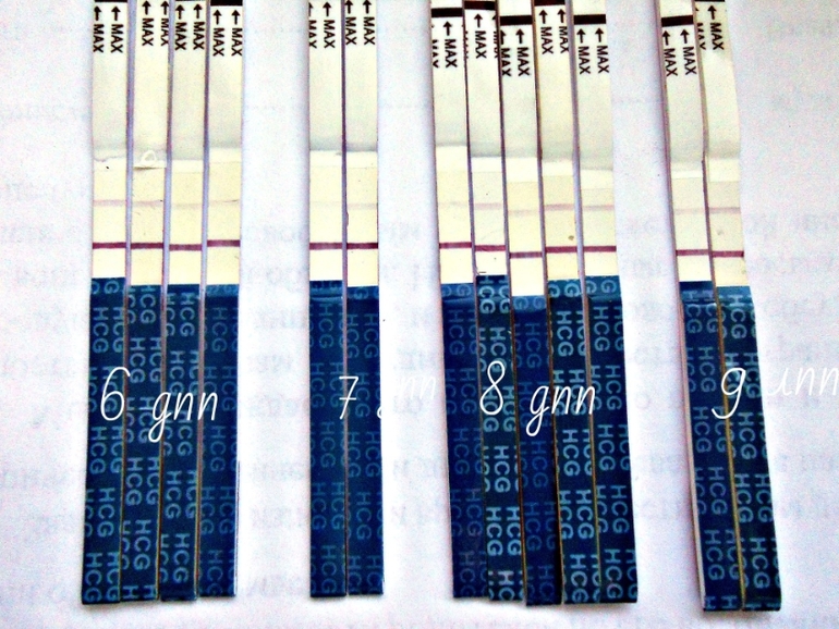 Мои тестики))