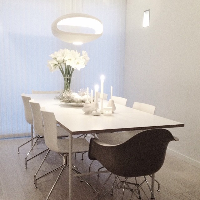 Сканди (@fangblikk)