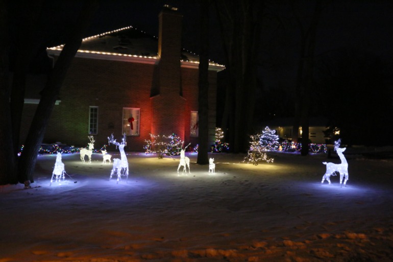 christmas lights