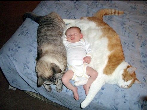 Не удержалась - делюсь)