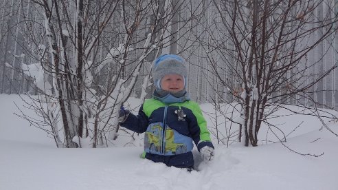 ЧТО ЭТО БЫЛО?