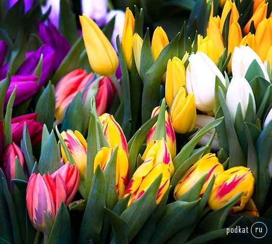 Авантюра Пасхальная - Этап 2!