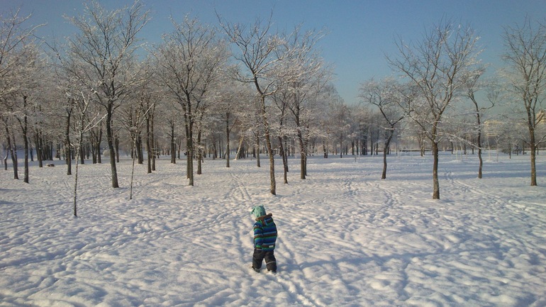 Зимние прогулки