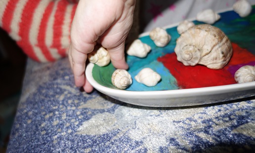 Лотерея 23. Ракушки.