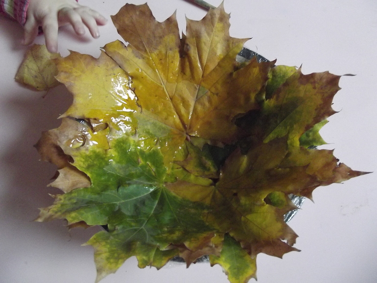 Тарелка в осеннем стиле. Сделать тарелку из листьев. Тарелка из осенних листьев. Сделать тарелку из листьев. Тарелка из кленовых листьев.