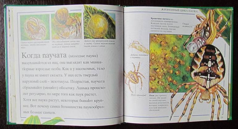 Маленький мир