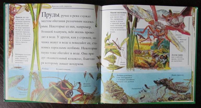 Маленький мир