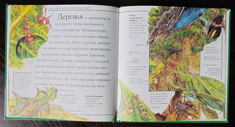 Маленький мир