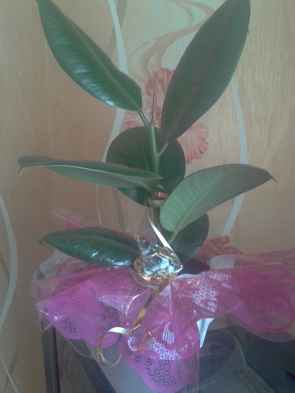 вот такую приманочку мне подарили на работе