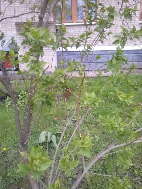 А за вікном...майже весна)))))))))