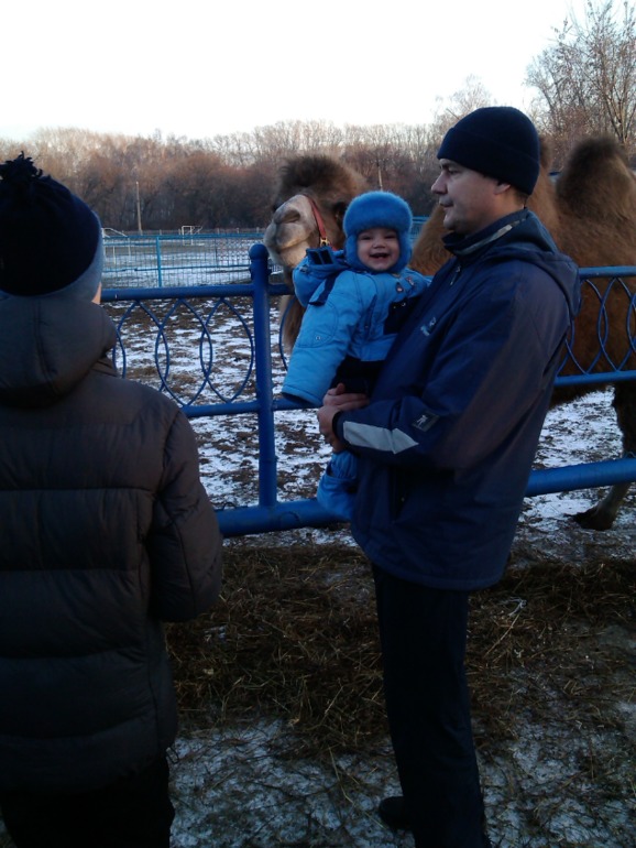 Иппотерапия