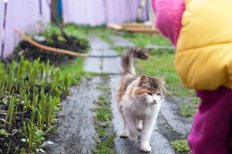 в деревне (фото)