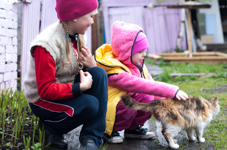 в деревне (фото)