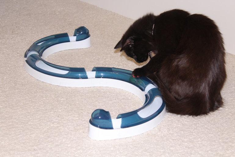 Не оценили игруху