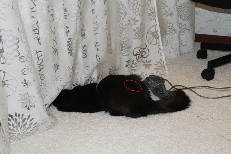 Не оценили игруху