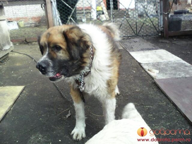 Барни... Дома!!!)))