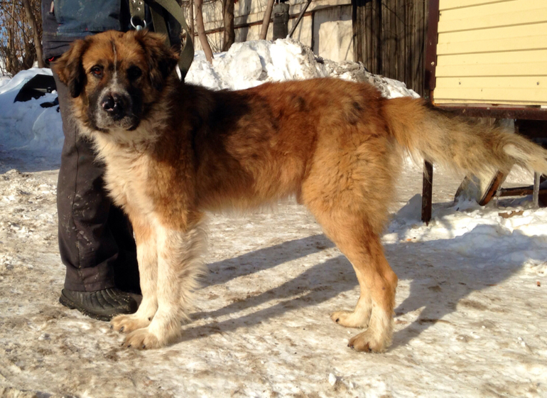 Барни... Дома!!!)))