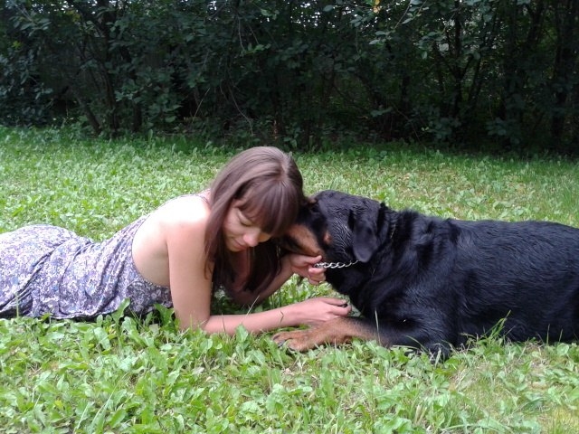 История одной собаки